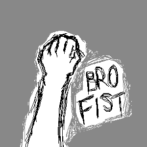 bro fist